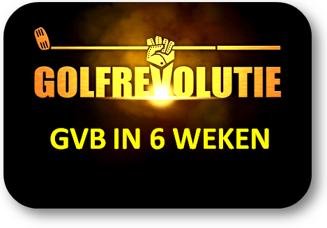 Klik hier om toegang te krijgen tot de Informatie over de GVB in 6 weken cursus